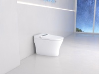 欧路莎智能马桶IT-422S：轻享智能·乐活无限