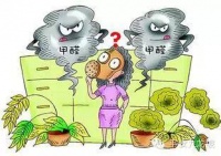 新房装修除醛攻略 敲实用的建议收藏