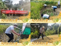 重庆一楼盘6人上门为客户收稻谷 还“真卖出去了”