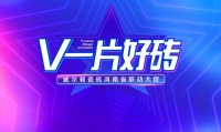 威尔顿瓷砖河南省联动大促活动，销量提升214%再创历史新高！