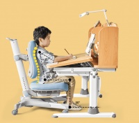 为什么许多家长都喜欢光明园迪学习桌？