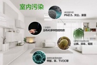 绿植除甲醛真的靠谱吗？别被忽悠了！