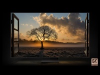 三星Neo QLED 8K 产品全线升级，新Tizen系统加持“多∙智∙享”影音体验