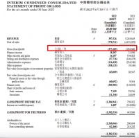 大发地产2022上半年归母净亏12.6亿元 毛利率下降29.49个百分点