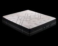 软体家具品牌国宝受邀参加第50届中国（上海）国际家居博览会