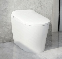 智能马桶什么品牌好，美标很不错哦