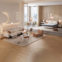 芝华仕双十一迎开门红！斩获天猫软体家具预售销售额TOP1！