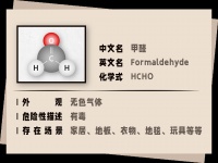 最常见的3大除甲醛翻车现场，来瞅瞅你家中招了吗