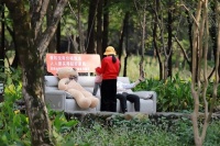 双11前家具打折套路被曝光，数百人签名支持天禧派打掉价格泡沫