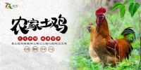 富日牧：构建中国特色散养土鸡生态