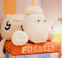 冬季补眠新方案，舒达床垫呵护青少年健康成长