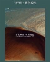 颜值花洒首选：瑞摩多功能恒温淋浴花洒