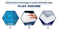 舒达：追求舒适的先驱，床垫界“世界杯”的实力选手！