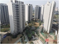 区域新盘观察 | 半年去化仅15.5%！坐拥成都最大湿地公园的城投观澜东著怎么了？