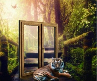 专访瑞明柚木门窗董事长董呈明：以名贵柚木，打造中国人真正的高端门窗