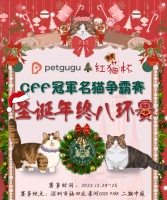 petgugu 总冠名的CFF冠军名猫争霸赛，邀您周末一起过圣诞！