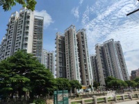 放开限购首周东莞迎“标志性一幕”：咨询量大增，新房周成交量环增950%