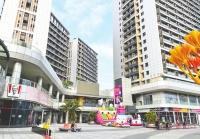 放开限购首周东莞迎“标志性一幕”：咨询量大增，新房周成交量环比增950%