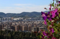 90后IT男为爱返乡，茶马古道边开养车店月入25万