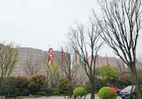 又是郑州！春节后率先松绑楼市，今起首套房利率下调至3.8％