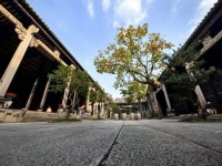 多地房贷年龄期限上限延长，现在该不该买房？