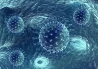 甲流、诺如病毒“狂飙”！美涂士抗病毒漆你需要知道