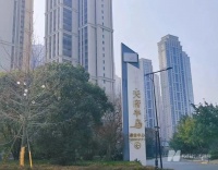 中签率0.3%，超5.2万人抢180套房，成都“万人摇”项目又来了