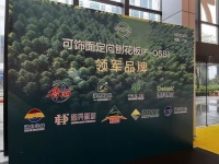 喜报丨澳思柏恩荣获可饰面定向刨花板领军品牌！