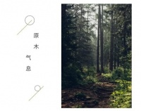 原生态的木纹印象,生活中的理想家