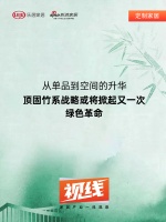 视线 | 从单品到空间的升华，顶固竹系战略或将掀起又一次绿色革命