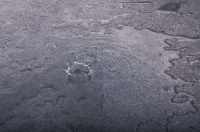 5G Dry耐水锁扣系统让生活安心无忧