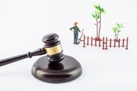 风云再起：围猎一线城市土拍，核心房企逻辑生变