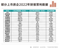 年报看复苏|  2022年业绩分化加剧，多元化发展或助房企“穿越”周期