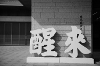 文化名家推荐 《醒来》人性画作探寻生命意义