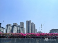 这个省会城市陷入新房“开盘荒”，今年首次土拍仅1宗纯商品房宅地