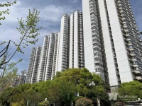 这个“五一”，淄博新房也旺了，上海中介小哥却难得放了假，“看房和成交都不如周末”