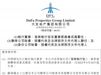 大发地产CEO冷俊峰辞职，余安妮获任公司秘书