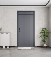 T型进户门，劲爆来袭 精益求精，兼具颜值与内涵