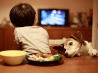 避坑帖：把驴骗进来再杀，细说激光电视那些致命缺点