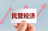重磅信号！中央支持民营经济，真正史诗级政策，对房地产啥影响？