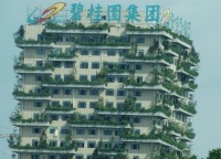 碧桂园多只债券价格异动，公司称“近期没有重大经营隐患”