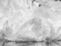 天丝™纤维家族迭代新成员 搭配混纺伙伴奔赴消费者的舒适四季