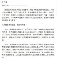 河北房企隆基泰和现流动性危机 宣布进入司法重整