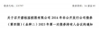 碧桂园首个债券展期方案出炉