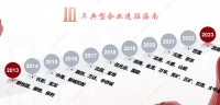 海南房地产10年“画像”：那些跌倒和站立的房企