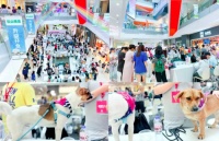 领展中关村通过有爱、公益、环保、可持续，多元表达充满年轻力的8月！