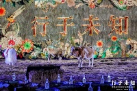 始于已知 行于未知 三十而立的博洛尼以想象力撬动未来