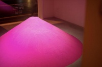 《I disappear当我不在》Magartland艺术家Anneliese Charek中国首展