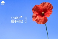 「云花后」创新鲜花体验，点亮生活“美”一处