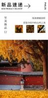 新浪精选：领绣——至美臻品12